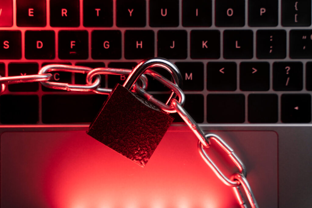 Data Privacy and Security in AI Development and Deployment